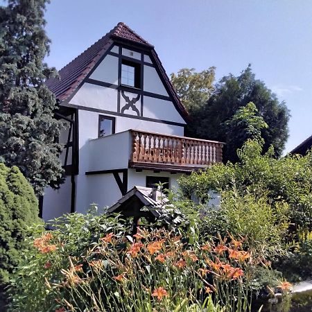 Pusteblume Lägenhet Groitzsch Exteriör bild