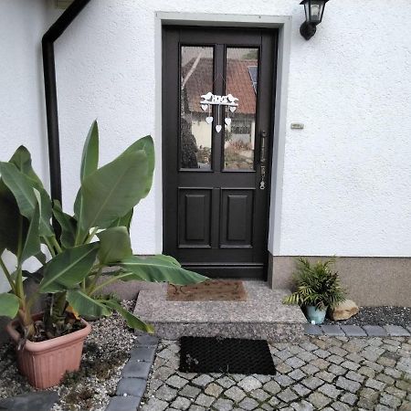 Pusteblume Lägenhet Groitzsch Exteriör bild