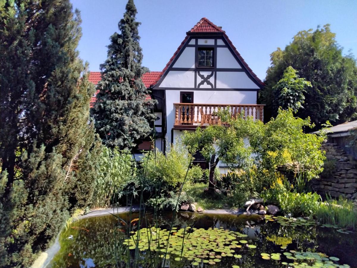 Pusteblume Lägenhet Groitzsch Exteriör bild