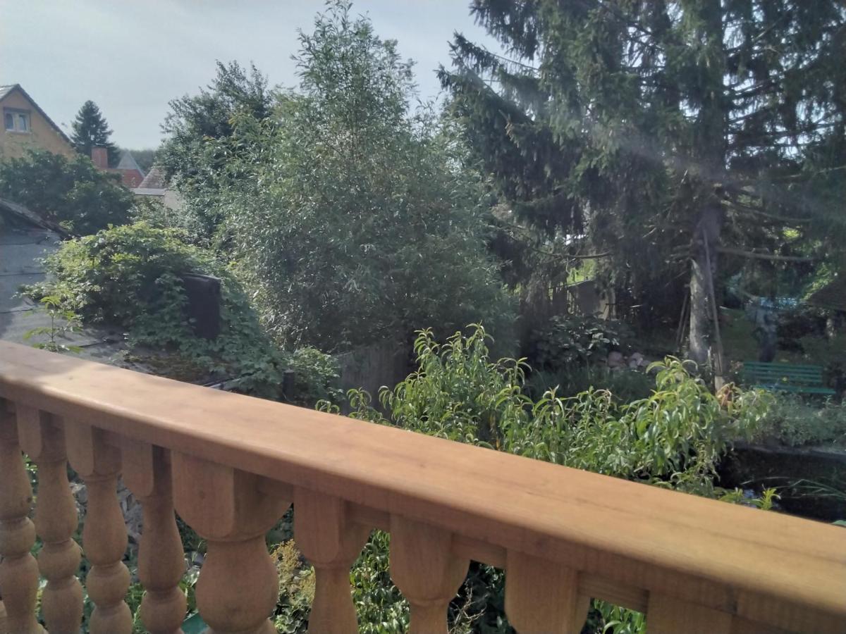 Pusteblume Lägenhet Groitzsch Exteriör bild