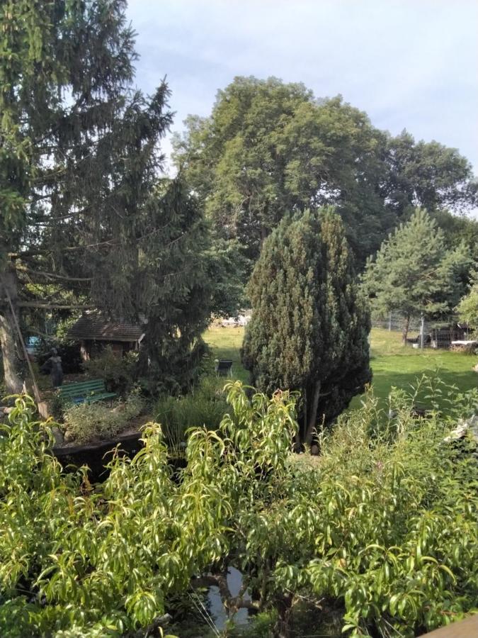 Pusteblume Lägenhet Groitzsch Exteriör bild
